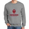 DryBlend ® Crewneck Sweatshirt Thumbnail