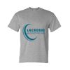 Unisex DryBlend® T-Shirt Thumbnail